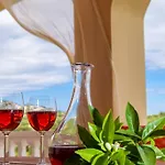 Gerovasis With Sea View *